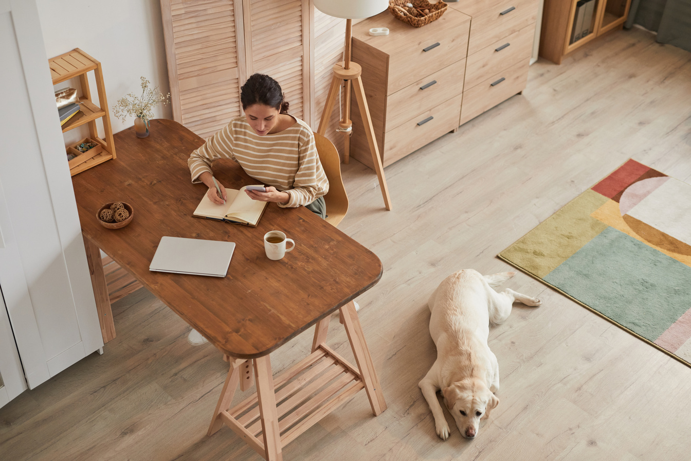 Young Woman Working at Cozy Home Office with Dog